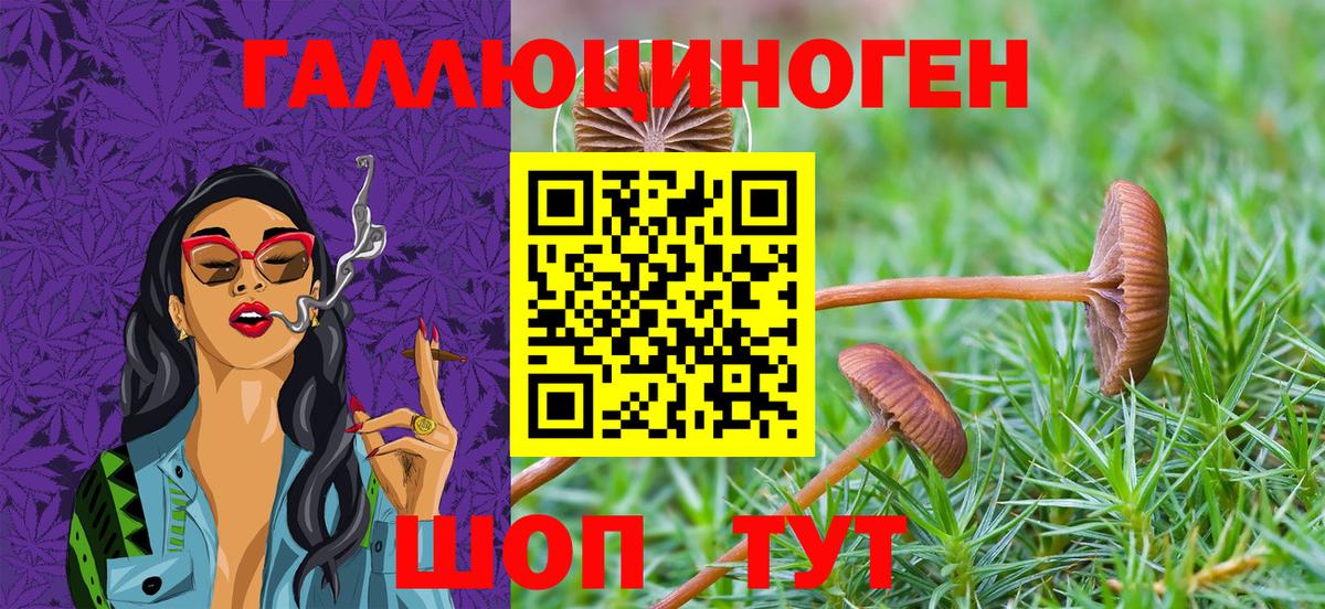 Похвистнево  Псилоцибиновые грибы мухоморы  наркошоп  Вход с VPN 